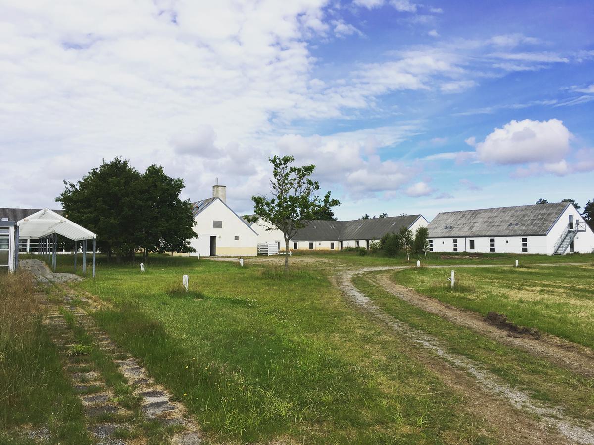Hotel Hvideklit Ålbæk Exterior foto